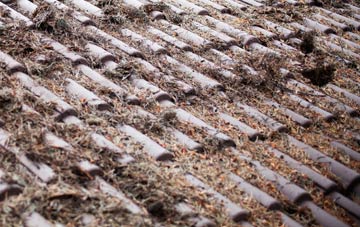 Fenny Castle roof cleaning companies